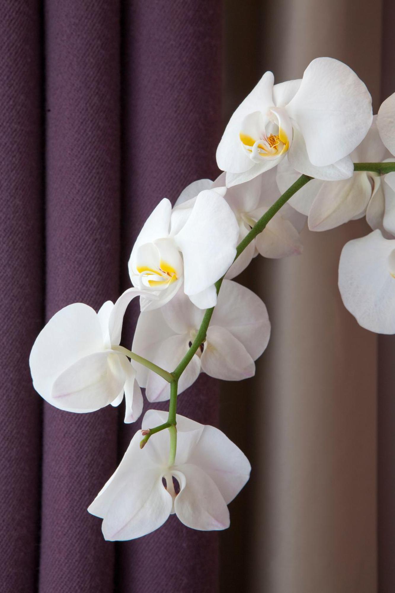 Hotel Duret Paris Champs Elysees Εξωτερικό φωτογραφία